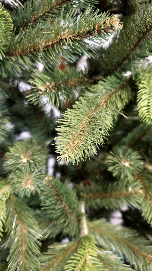 Brad artificial Christmas Deluxe by , Victoria Special, 2D+3D, 220cm