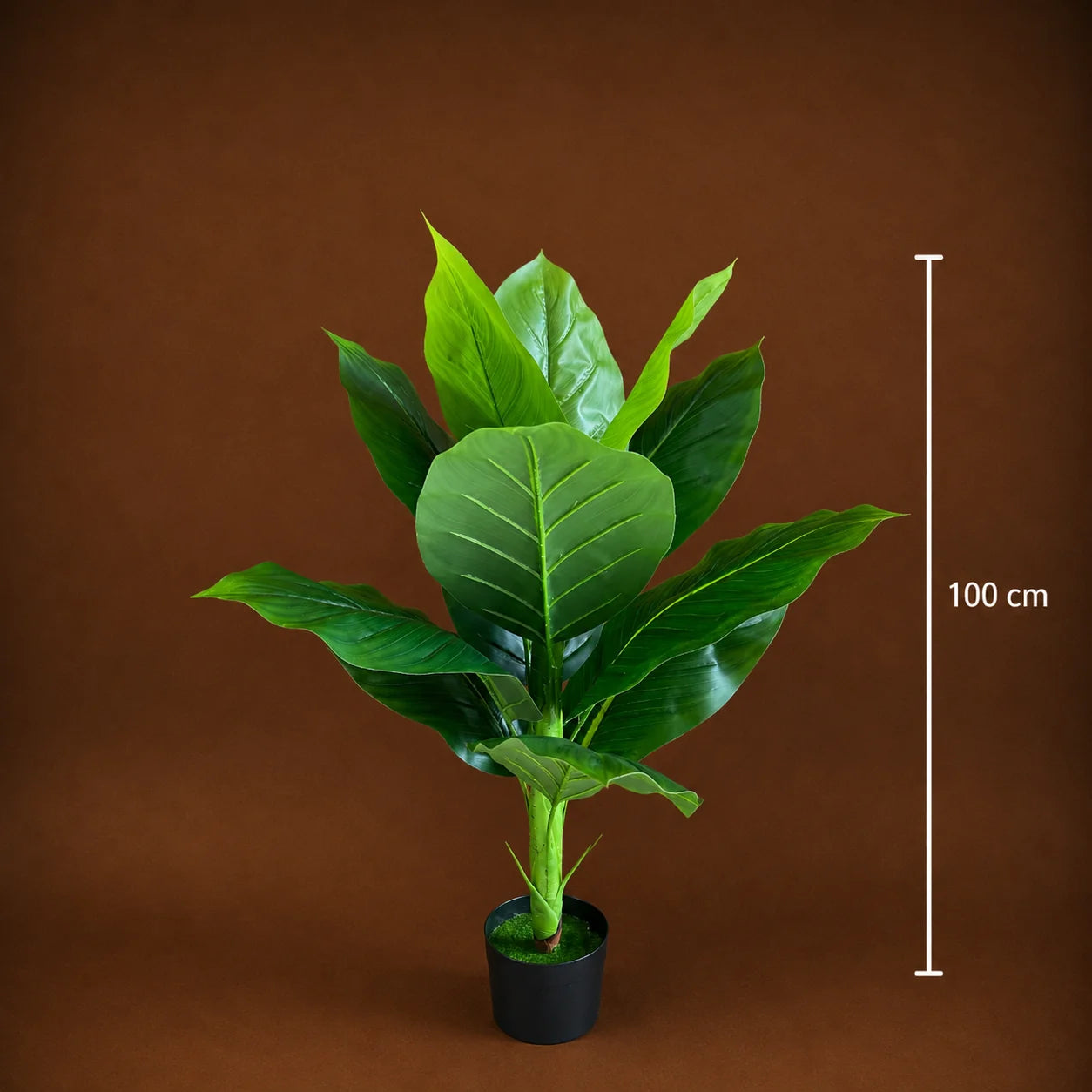 Decoratiune Bananier Musa, Plastic, 100 cm, Verde