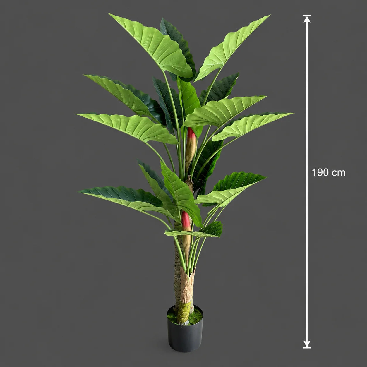 Decoratiune Alocasia, 2 tulpini, Plastic, 190 cm, Verde