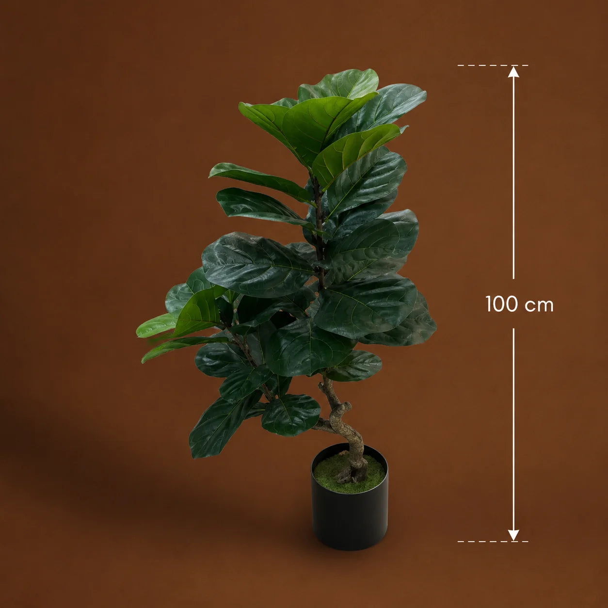 Decoratiune Ficus Lyrata, Ramificatie, 2 Ramuri, Plastic, 100 cm, Verde