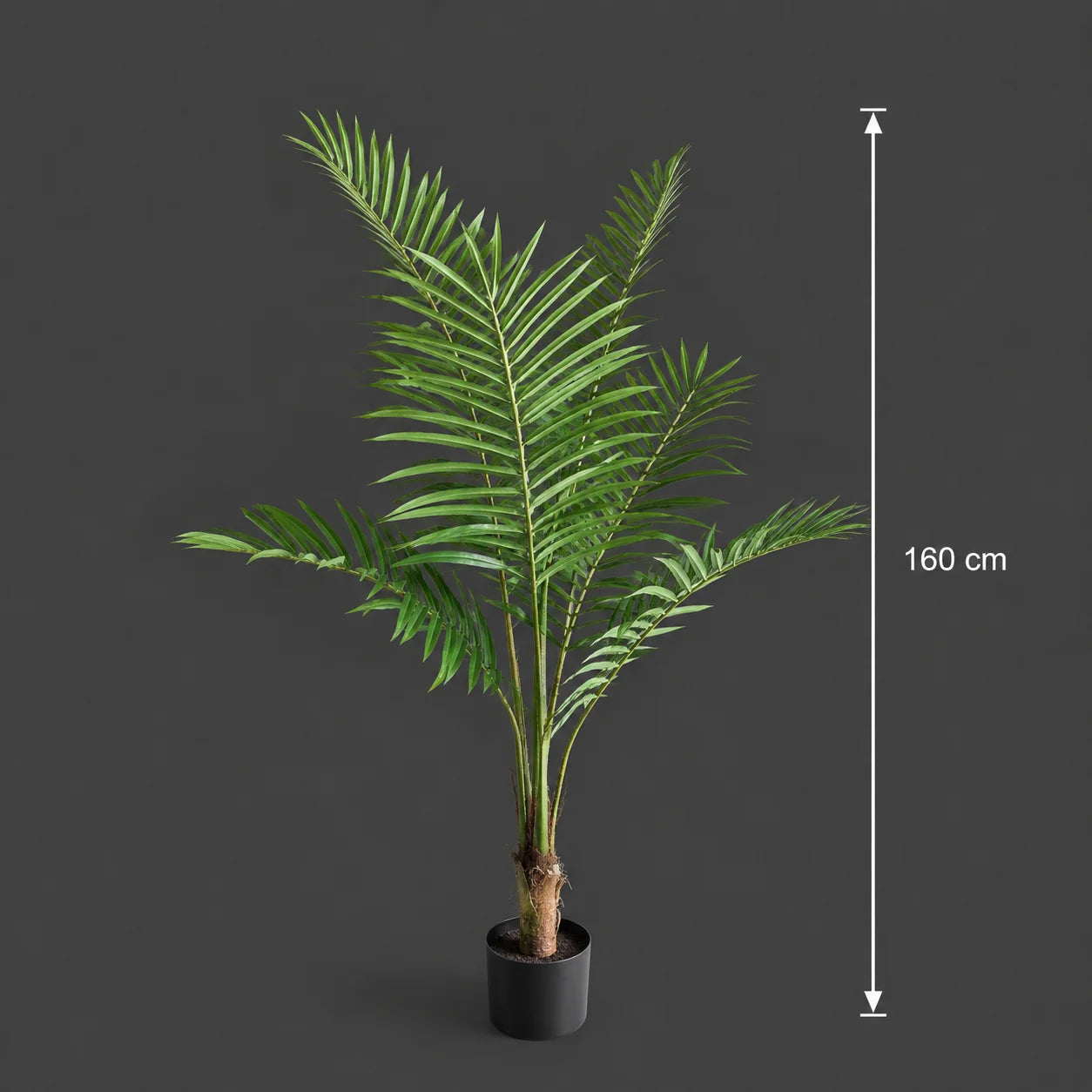 Decoratiune Howea Forsteriana, 160 cm, 7 frunze, Verde