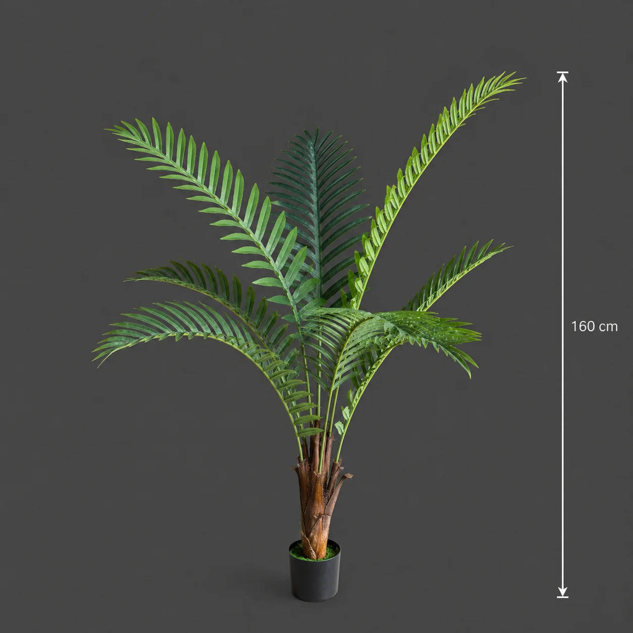 Decoratiune Roystonea Regia, 160 cm, 7 frunze, Verde