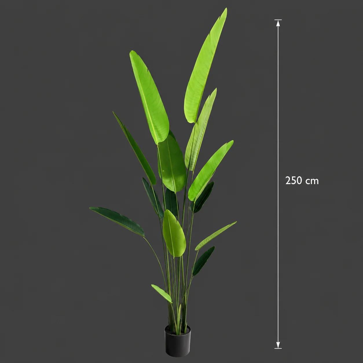 Decoratiune Strelitzia Nicolai, 250 cm, Verde