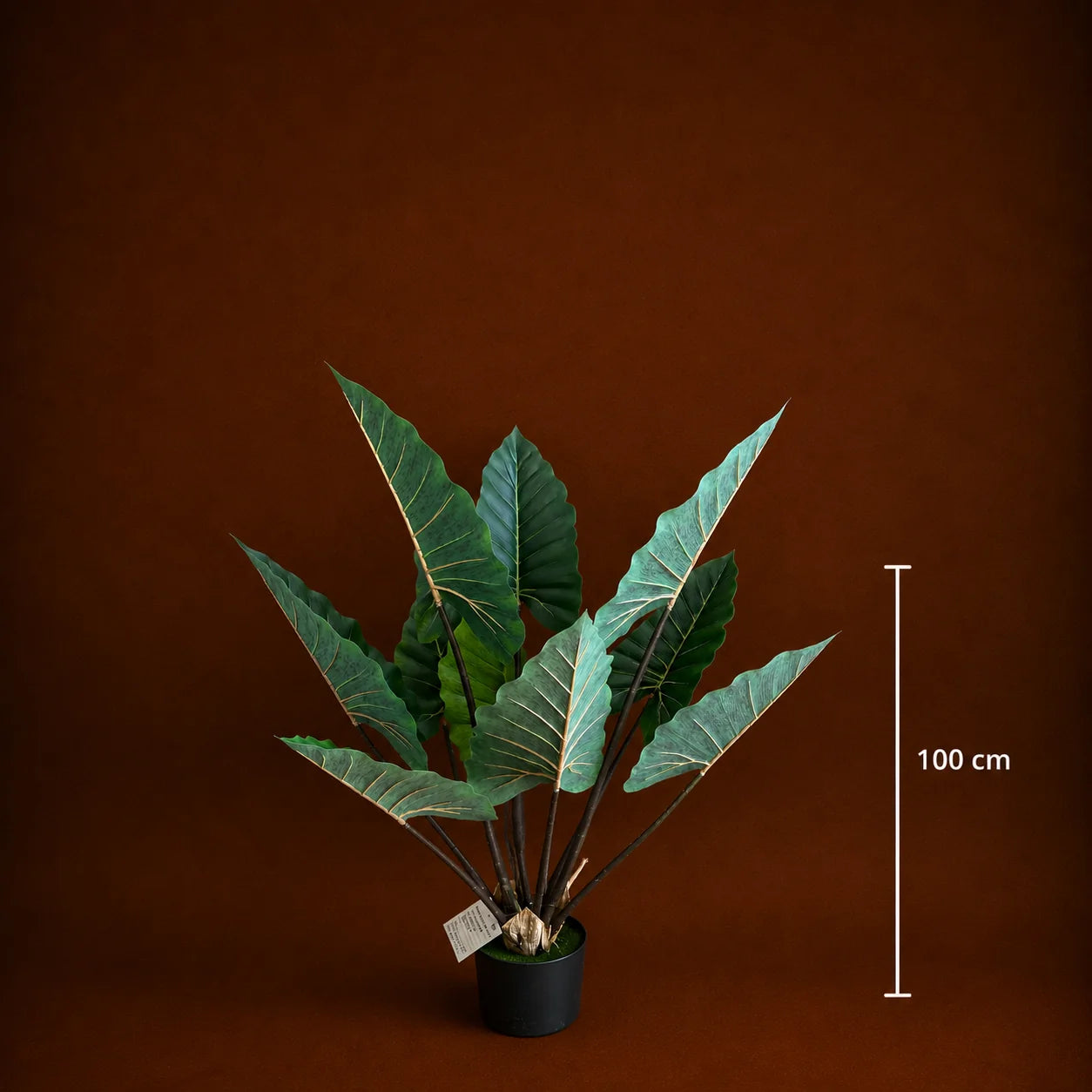 Decoratiune Strelitzia, Plastic, 100 cm, Verde