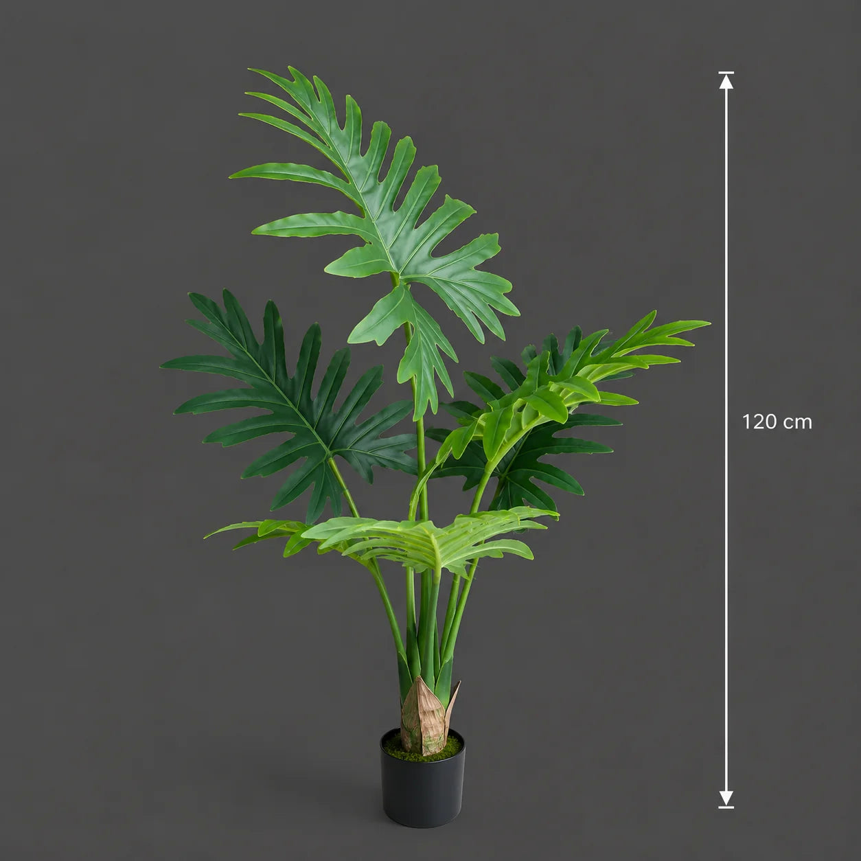 Decoratiune Thaumatophyllum Bipinnatifidum, 6 frunze, Plastic, 120 cm, Verde