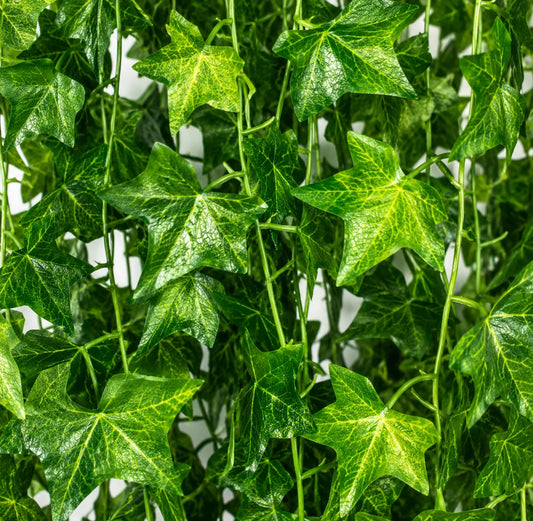 Planta Artificiala Ghirlanda din Iedera, 12 Ramuri x 72 Frunze, Verde