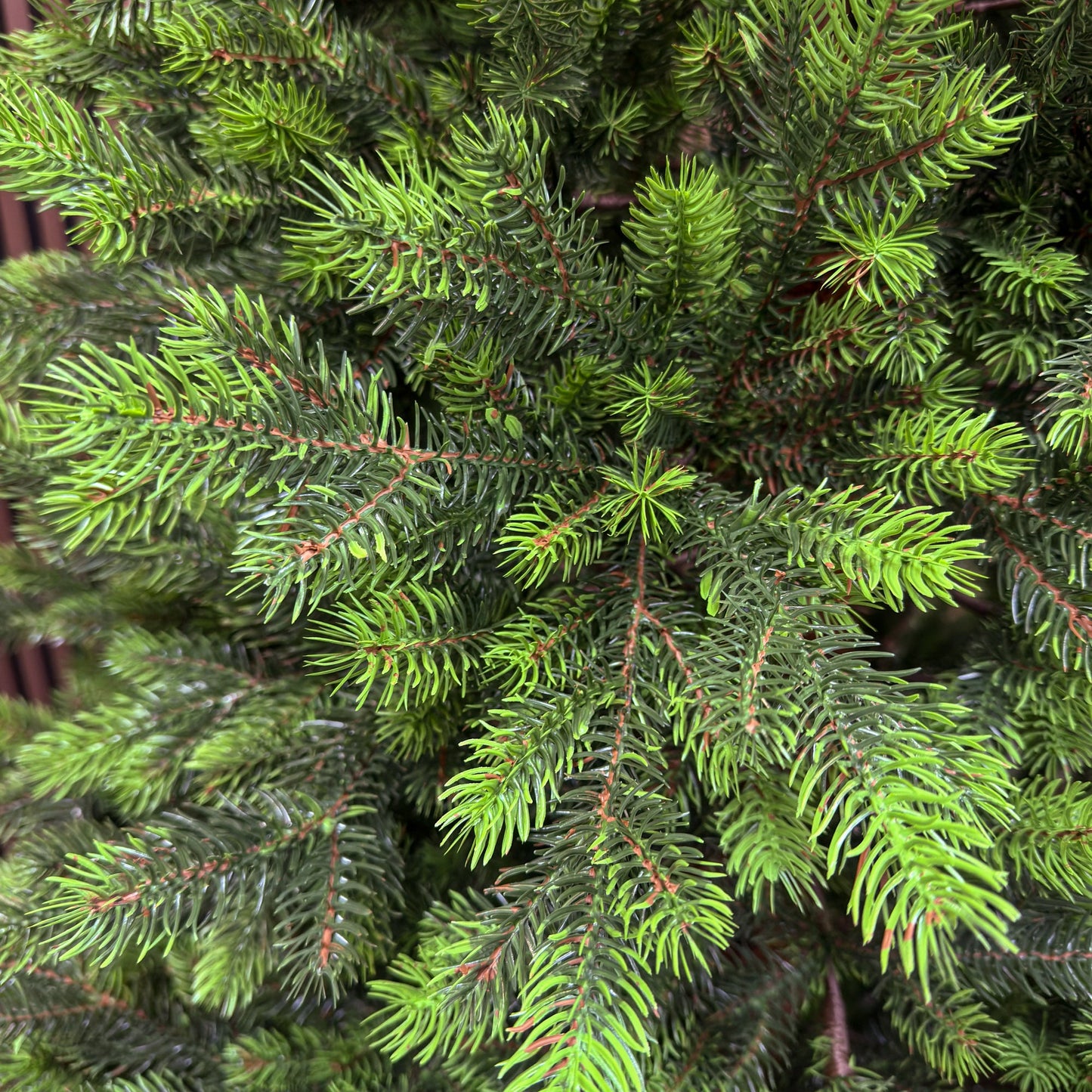 Brad artificial , Hollandia, verde cu varfuri verzi, integral 3D, 210 cm