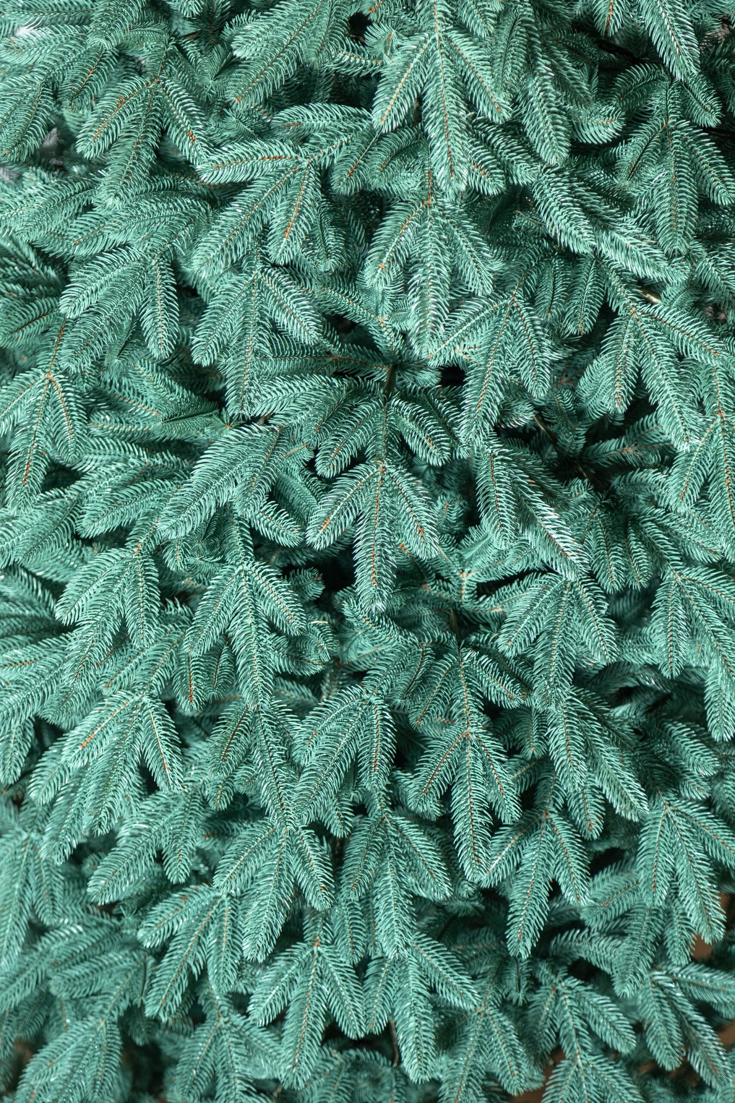 Brad artificial Christmas Deluxe by , Laponia Select argintiu, integral 3D, 230cm