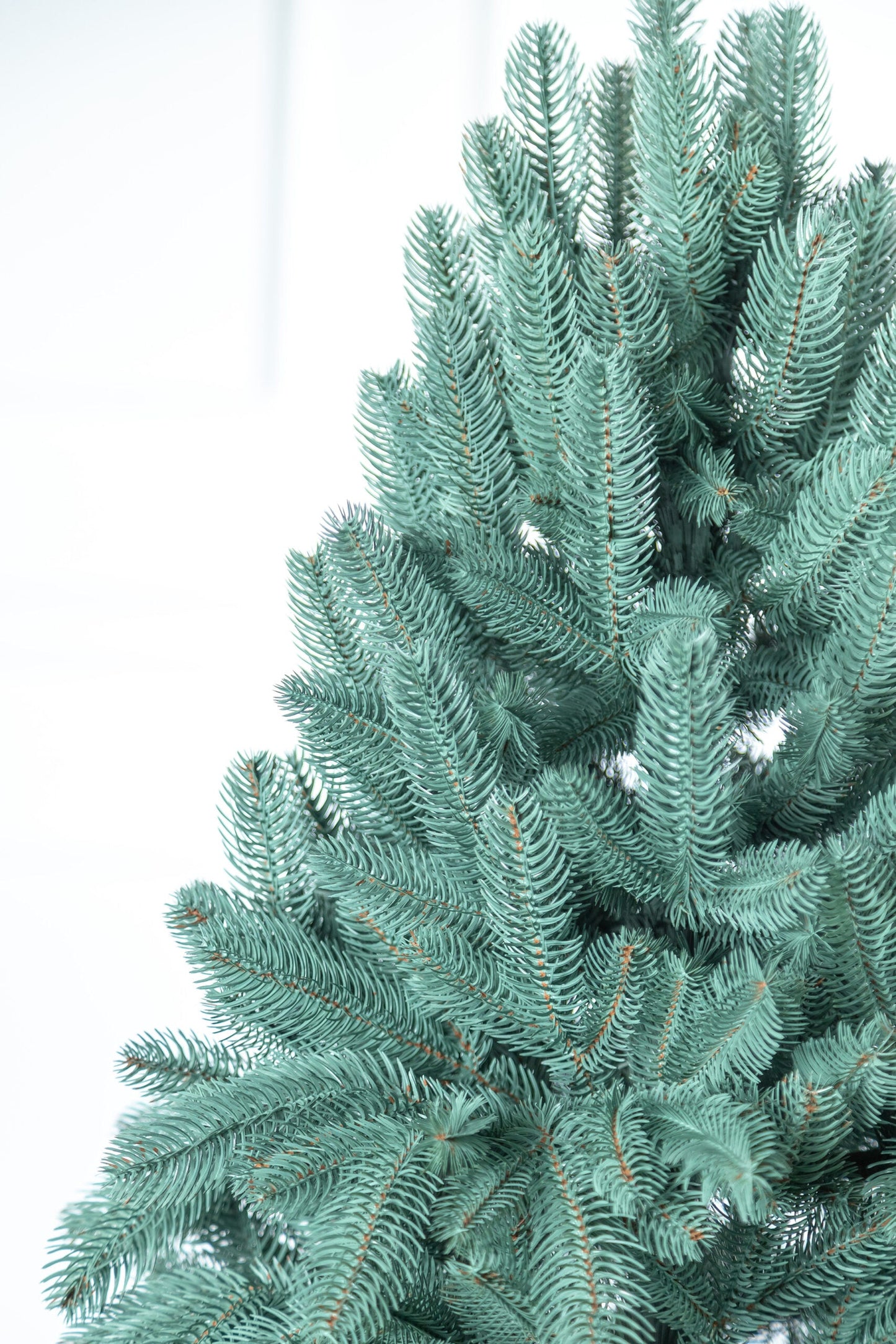 Brad artificial Christmas Deluxe by , Laponia Select argintiu, integral 3D, 230cm