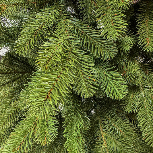 Brad artificial , Silvee Elite, verde, integral 3D, 180 cm