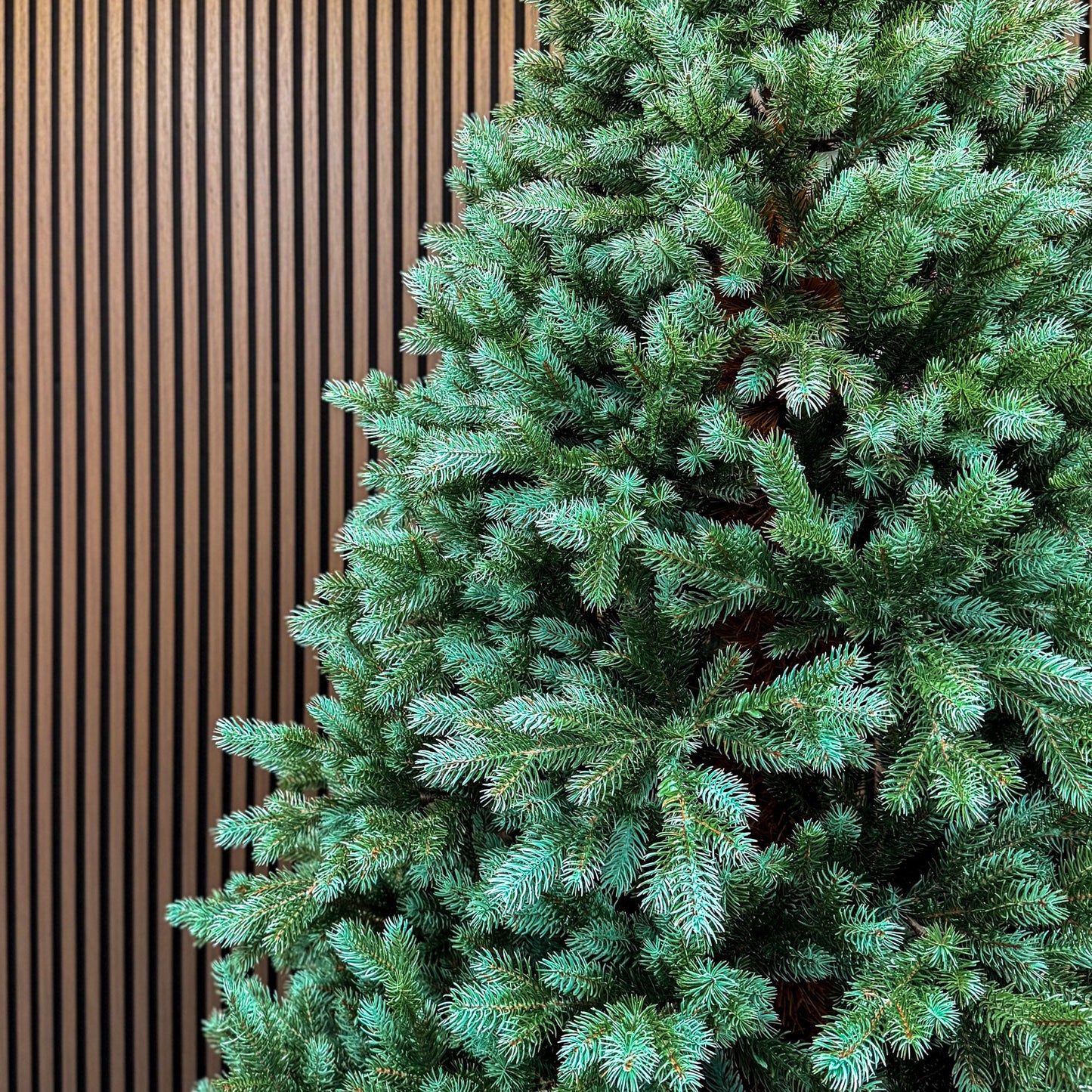 Brad artificial , Hollandia, verde cu varfuri argintii, integral 3D, 230 cm