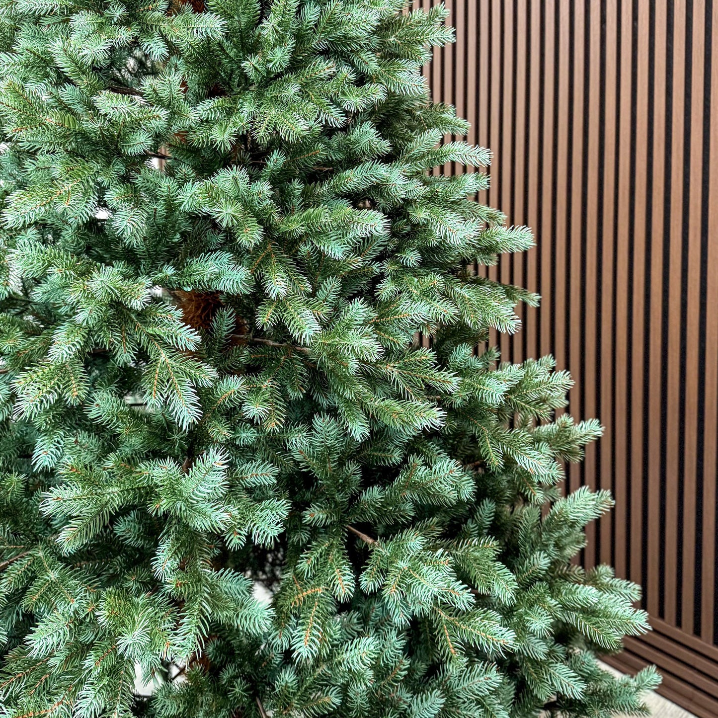 Brad artificial , Hollandia, verde cu varfuri argintii, integral 3D, 230 cm