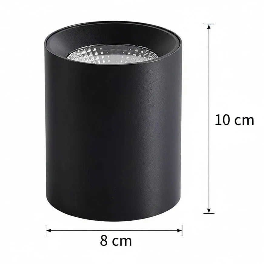 Proiector LED TINNIE, Fix, 8W, Lumina Neutra 4000K, Negru