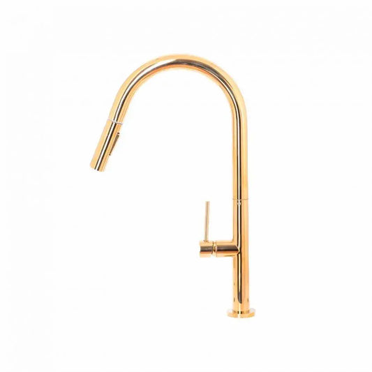 Baterie Bucatarie cu Dus Extractibil, Alama Sanitara, Auriu, CF2043 – culoare aurie – RegalStore, iluminat interior