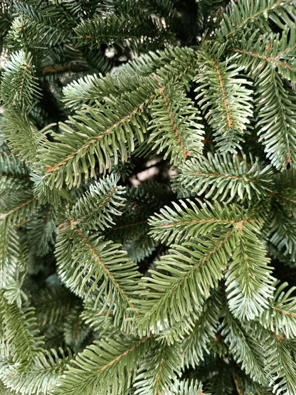 Brad artificial Christmas Deluxe by , Canada argintiu, 3D, 250cm