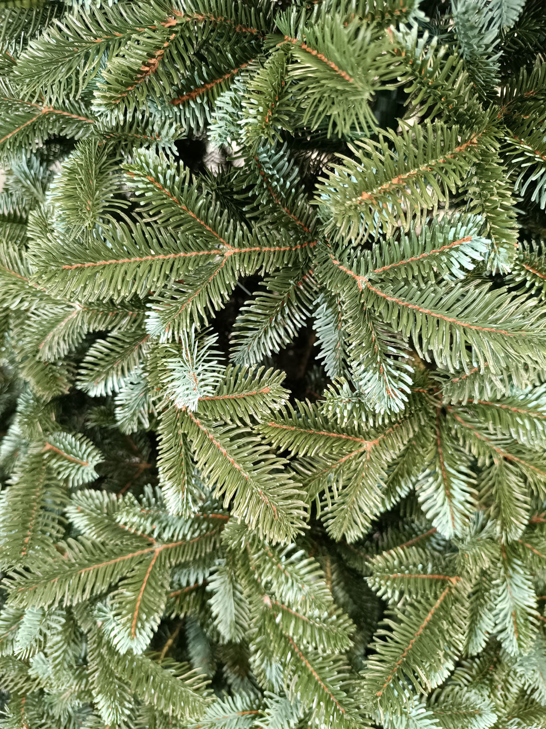 Brad artificial Christmas Deluxe by , Canada argintiu, 3D, 210cm