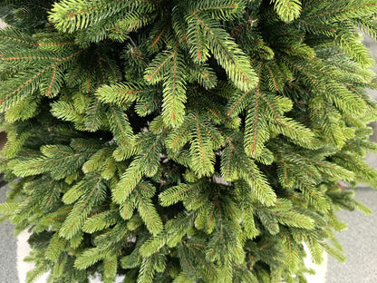 Brad artificial Christmas Deluxe by , Carpati cu varfuri verzi, 2D+3D, 210cm