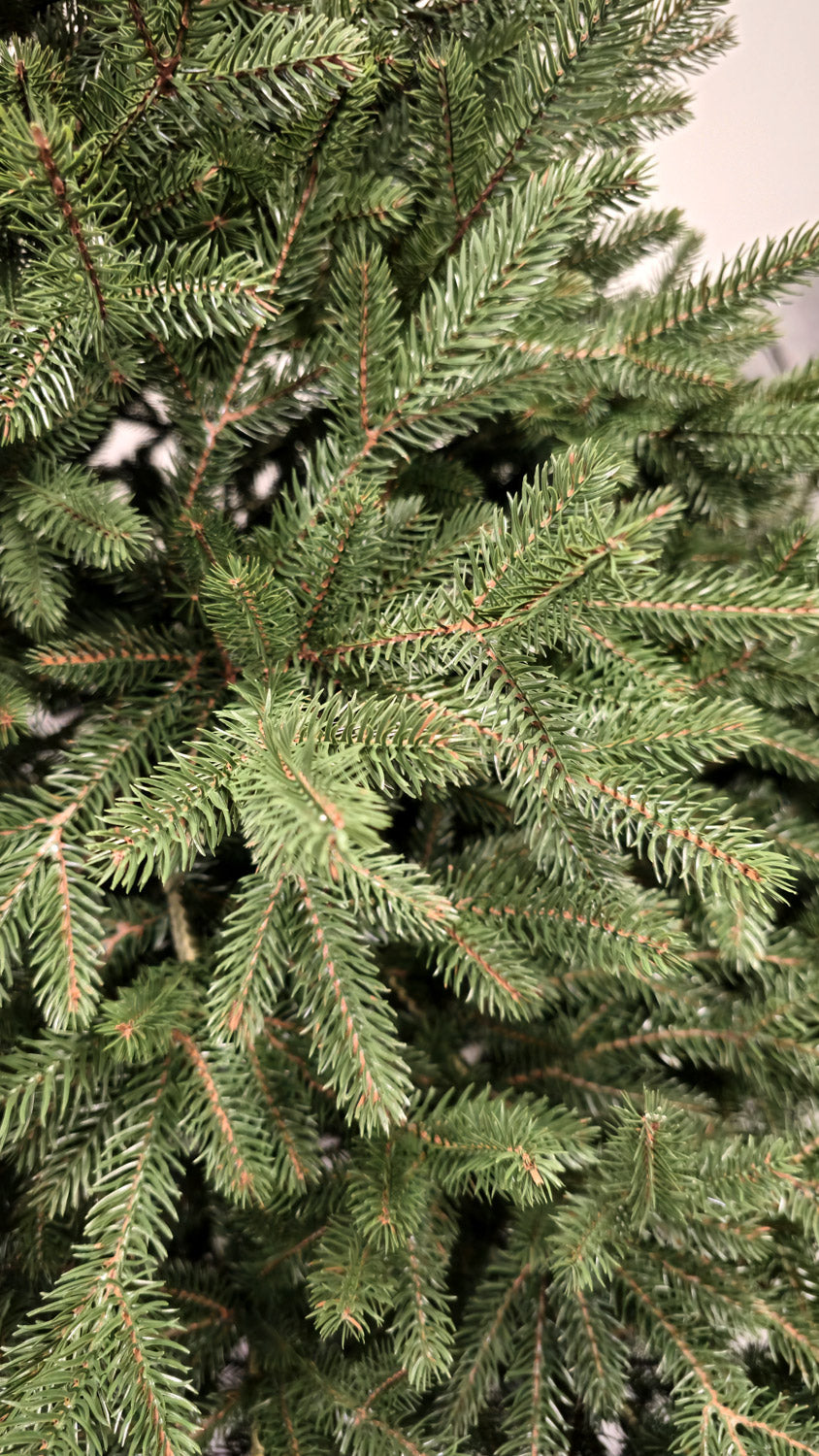 Brad artificial Christmas Deluxe by , Alpin Select, integral 3D, 250 cm