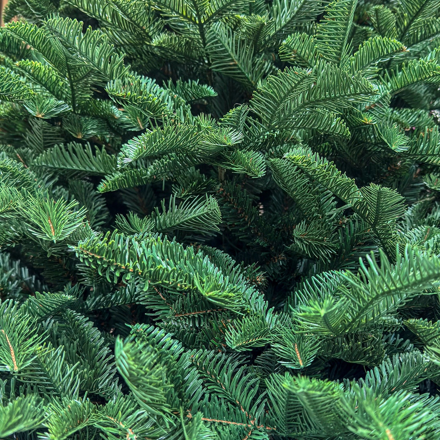 Brad artificial , Alaska, verde, mix 2D+3D, 210 cm