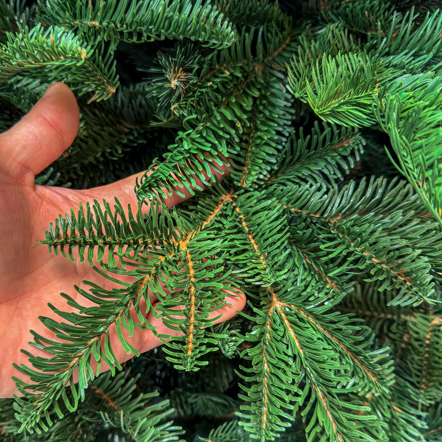 Brad artificial , Alaska, verde, mix 2D+3D, 210 cm