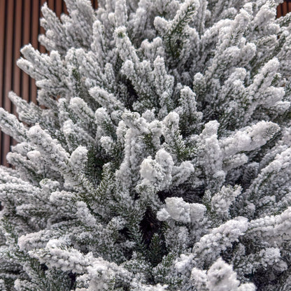 Brad artificial , Alesea Elite, nins, integral 3D, 200 cm