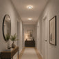 Lustra LED CELUN, 33W, Diametru 21cm, Lumina Calda/Neutra/Rece, Alb, Metal si Acril