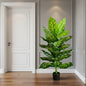 Decoratiune Dieffenbachia, Plastic, 150 cm, Verde