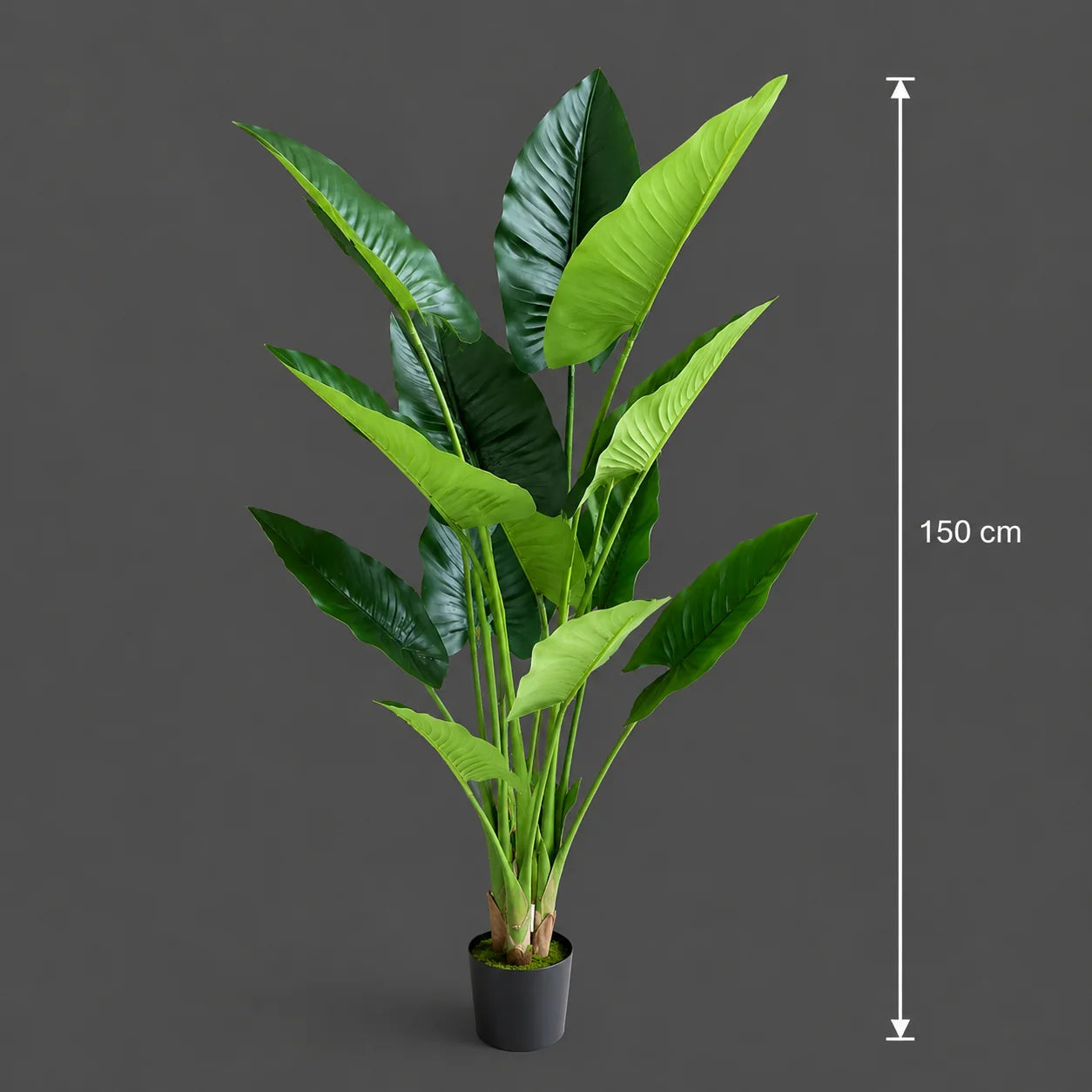 Decoratiune Alocasia, 12 frunze, Plastic, 150 cm, Verde