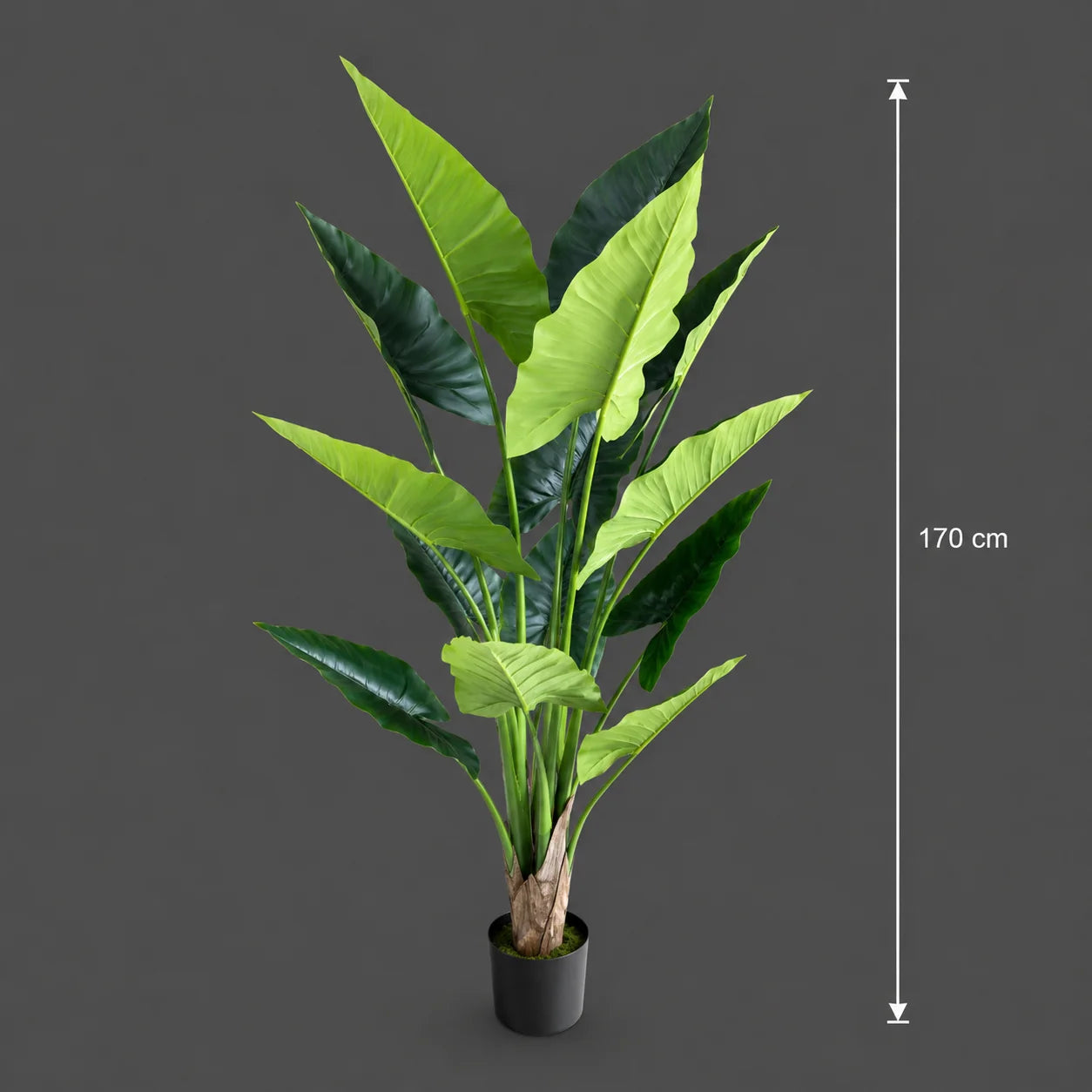 Decoratiune Alocasia, 14 frunze, Plastic, 170 cm, Verde