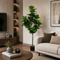 Decoratiune Ficus Lyrata, Plastic, 180 cm, Verde