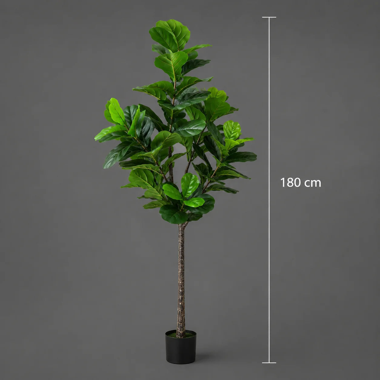 Decoratiune Ficus Lyrata, Plastic, 180 cm, Verde