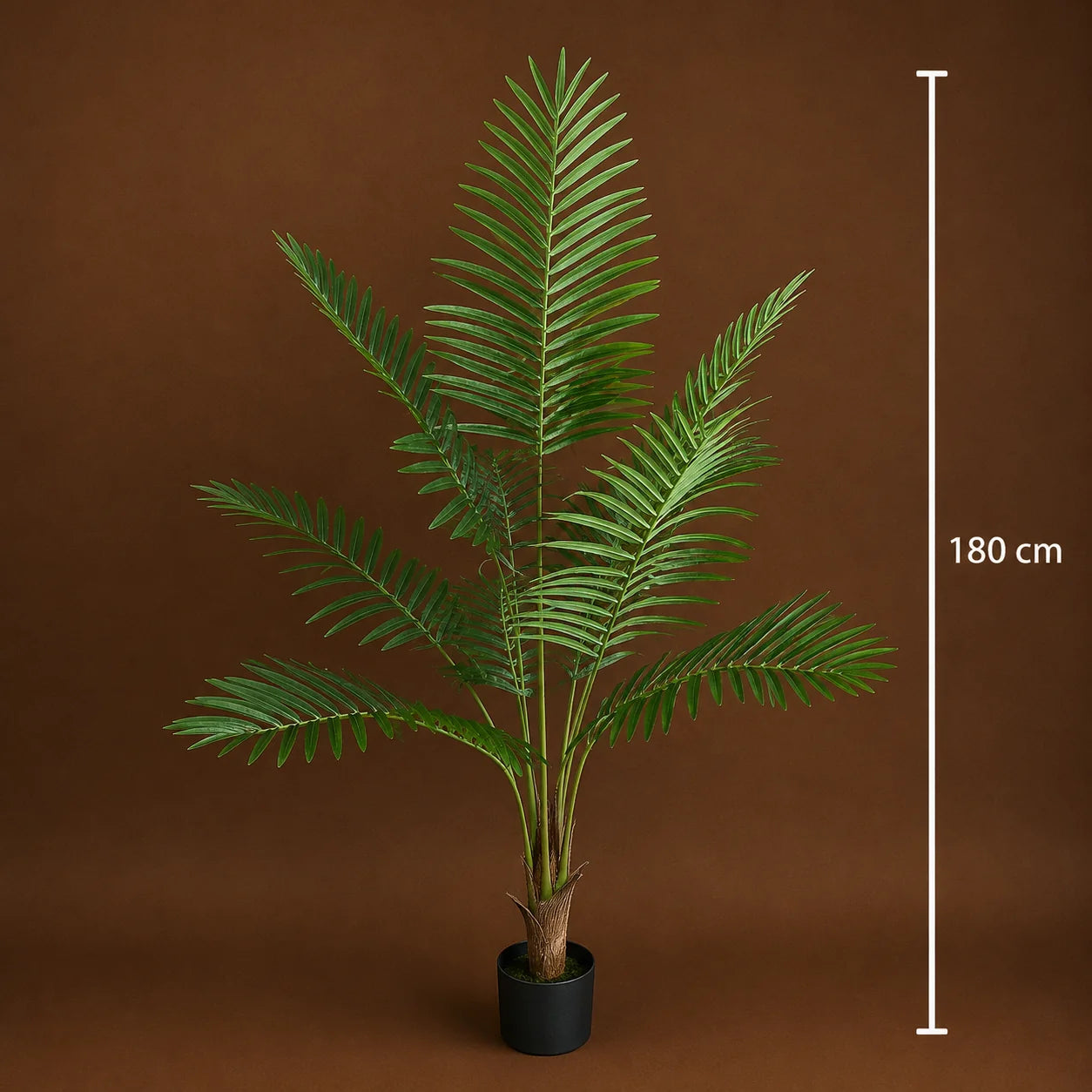 Decoratiune Howea Forsteriana, 180 cm, 10 frunze, Verde