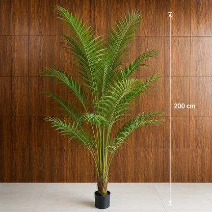 Decoratiune Howea Forsteriana, 200 cm, 15 frunze, Verde