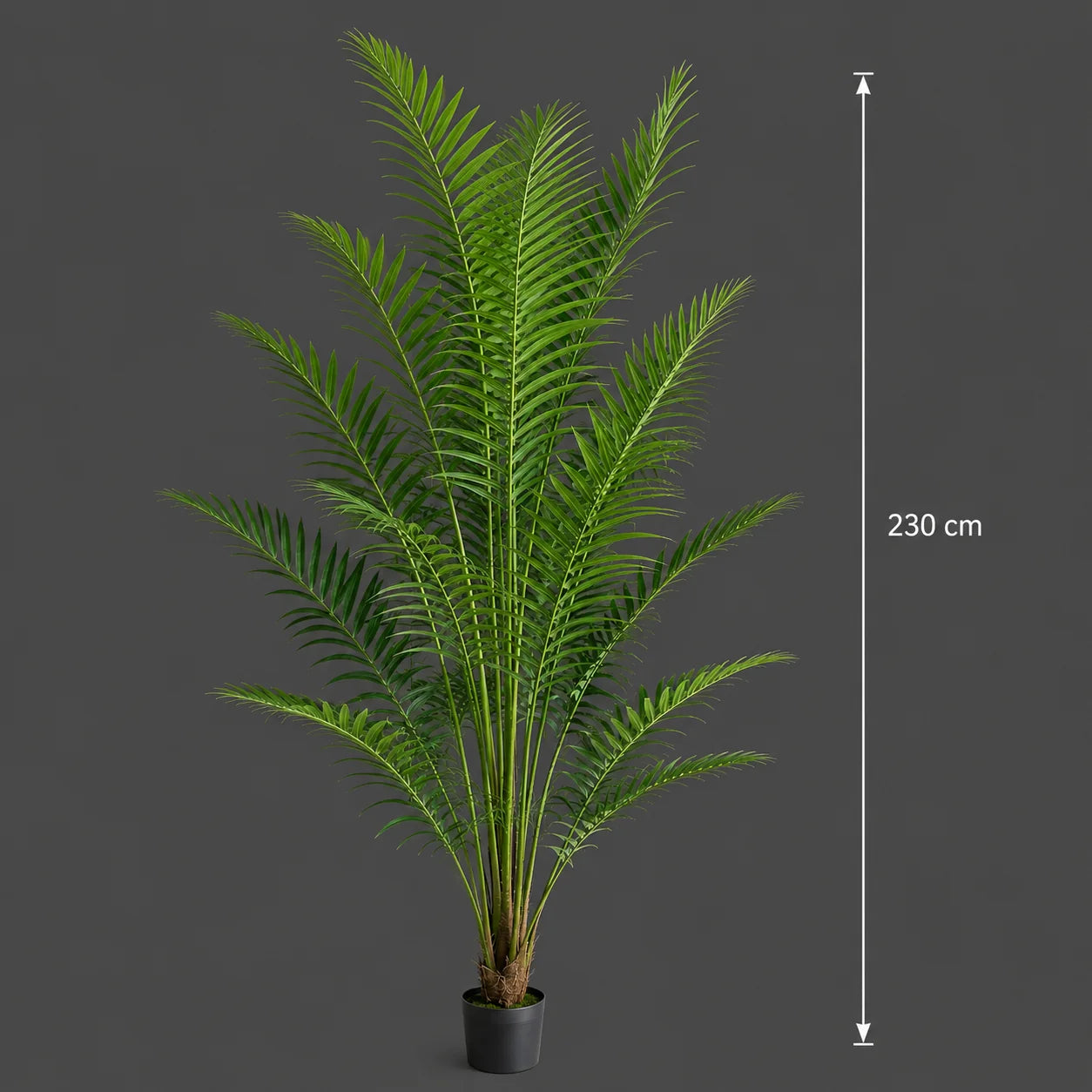 Decoratiune Howea Forsteriana, 230 cm, 18 frunze, Verde