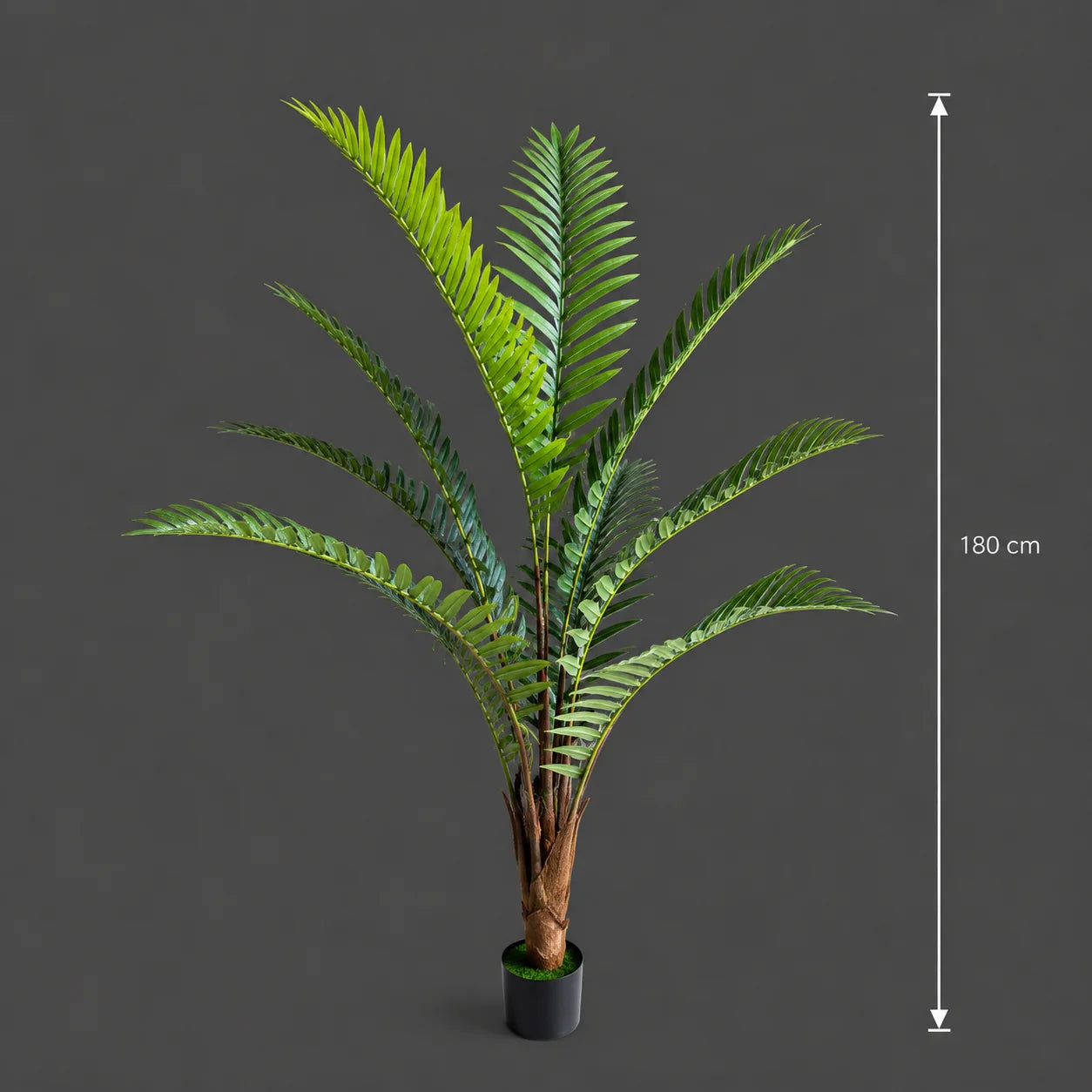 Decoratiune Roystonea Regia, 180 cm, 10 frunze, Verde