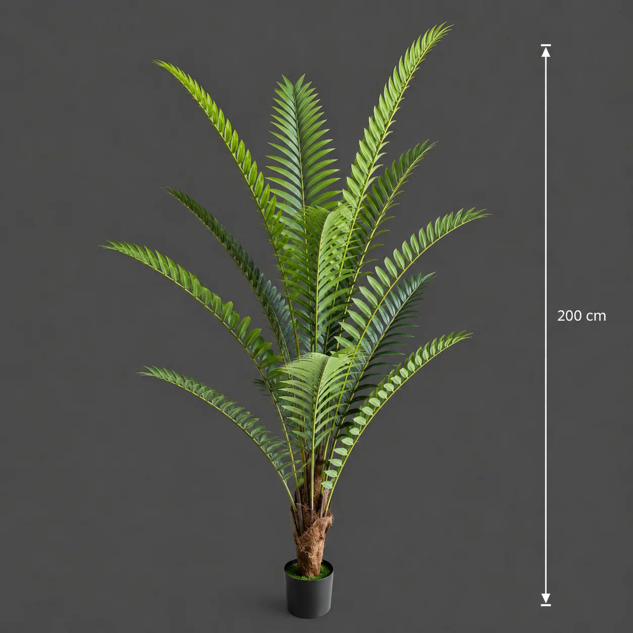 Decoratiune Roystonea Regia, 200 cm, 15 frunze, Verde