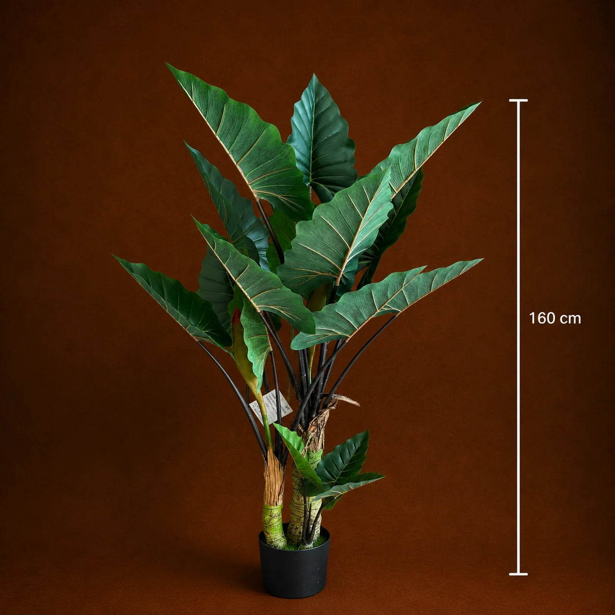 Decoratiune Strelitzia, 3 trunchiuri, Plastic, 160 cm, Verde