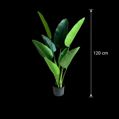 Decoratiune Strelitzia Nicolai, 120 cm, 8 frunze, Verde