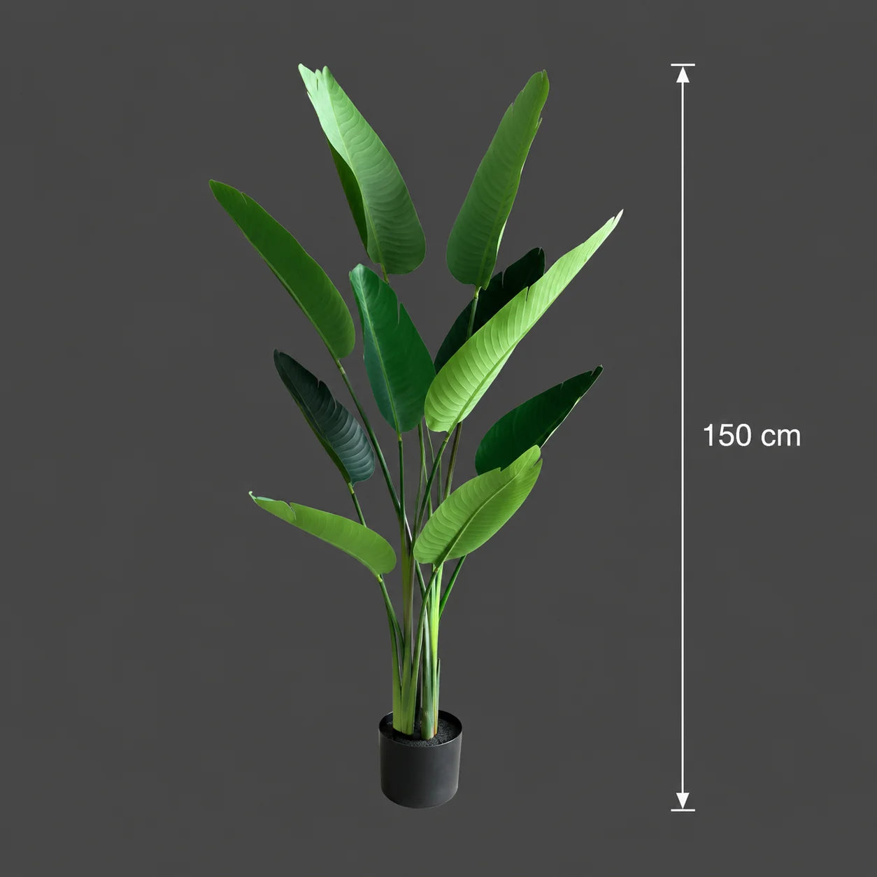 Decoratiune Strelitzia Nicolai, 150 cm, 10 frunze, Verde