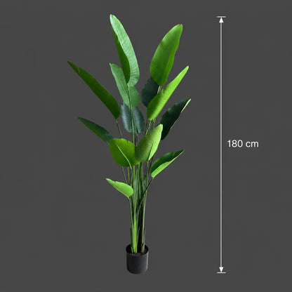Decoratiune Strelitzia Nicolai, 180 cm, 13 frunze, Verde