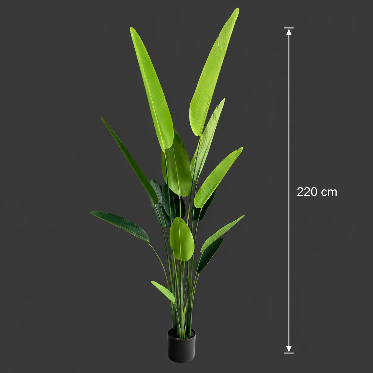 Decoratiune Strelitzia Nicolai, 220 cm, 13 frunze, Verde
