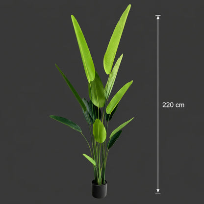 Decoratiune Strelitzia Nicolai, 220 cm, 13 frunze, Verde