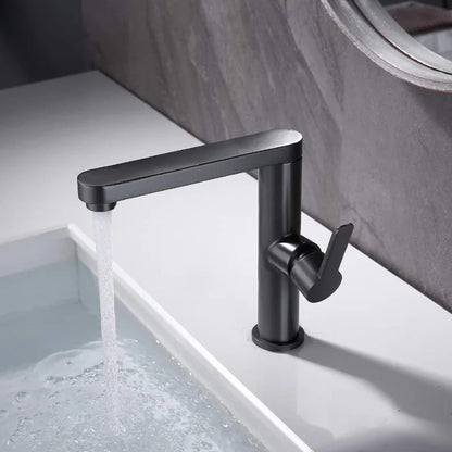Baterie Lavoar, Alama Sanitara, Negru, 9107H