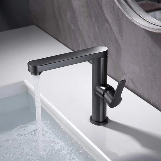 Baterie Lavoar, Alama Sanitara, Negru, 9107H