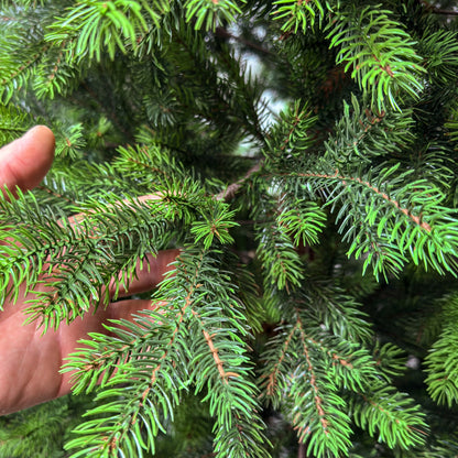 Brad artificial , Hollandia, verde cu varfuri verzi, integral 3D, 210 cm