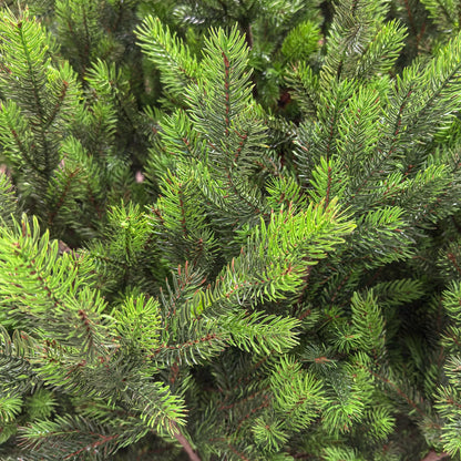 Brad artificial , Hollandia, verde cu varfuri verzi, integral 3D, 210 cm