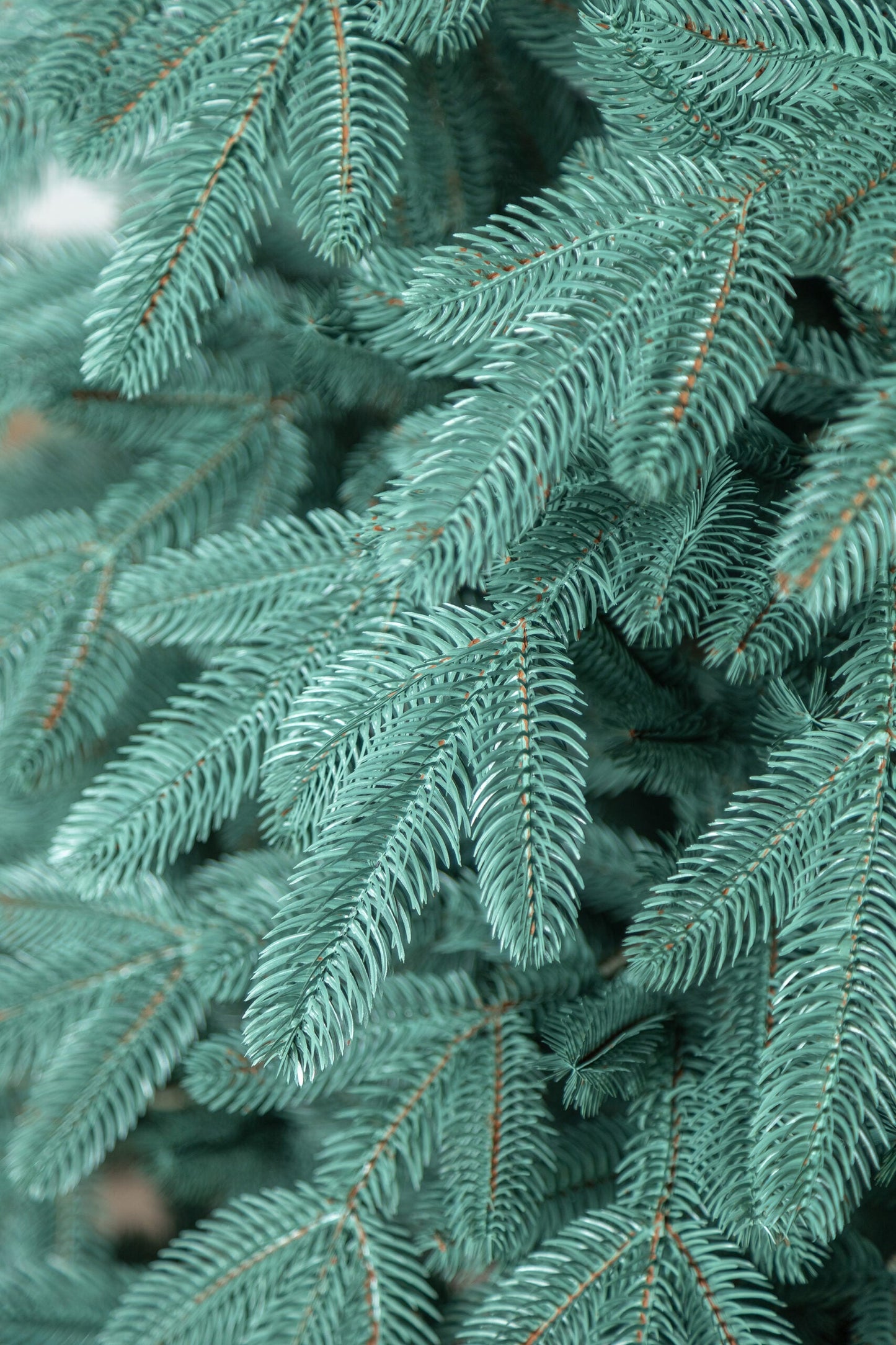 Brad artificial Christmas Deluxe by , Laponia Select argintiu, integral 3D, 230cm