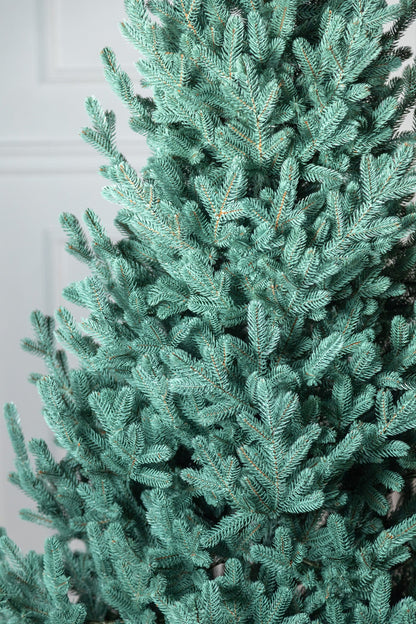 Brad artificial Christmas Deluxe by , Viena Select argintiu, integral 3D, 230cm