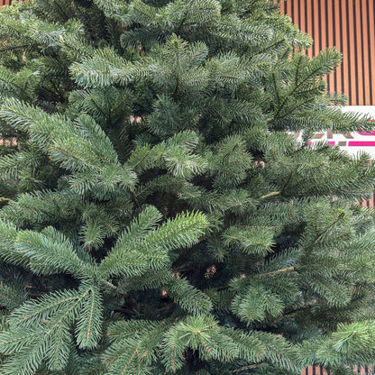 Brad artificial Christmas Deluxe by , Kovalivka Select, integral 3D, 250 cm