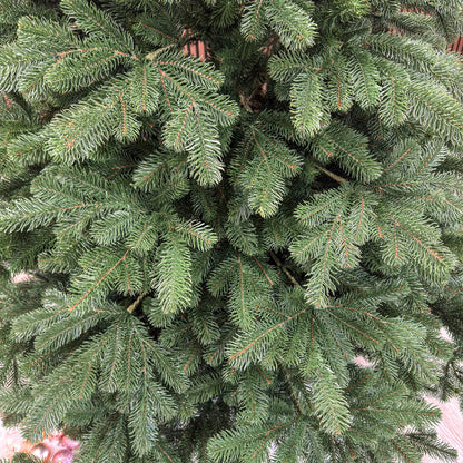 Brad artificial Christmas Deluxe by , Kovalivka Select, integral 3D, 250 cm